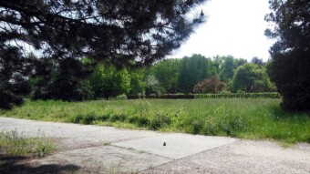 Today on the bike again but calmer - My Actifit Report Card: May 29 2023