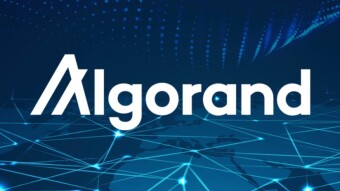 Go for ALGORAND