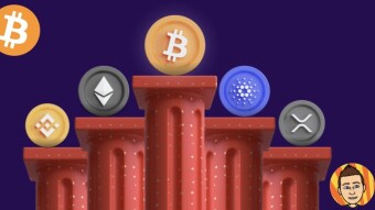 Chasing Crypto Altcoins vs Blue Chips