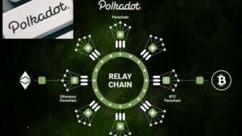 The Parachains On Polkadot: The Best Projects To Vote