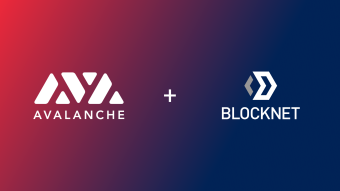 The Blocknet to extend the power of Avalanche’s subnets with a decentralized indexing system.