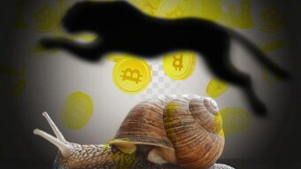 The key to grow your crypto portfolio is go slow to go fast