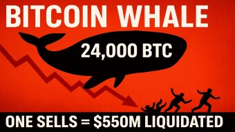 One Whale Just Proved Bitcoin Isn't Actually Decentralized