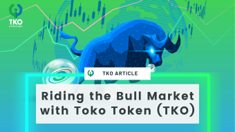 Riding The Crypto Bull With Toko Token (TKO)