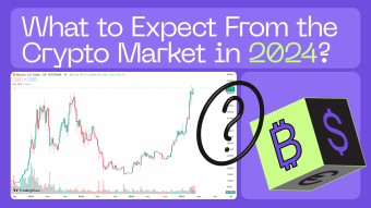 Crypto Market Bubble: What's Happening with Bitcoin Now and What to Expect From the Crypto Market in 2024?