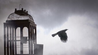 You Can "Still Buy" Sovereignty