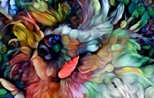 Dipped my toes in Googles Deep Dream
