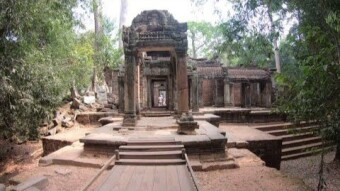Ta Prohm temple and strangler trees - Cambodia part 2