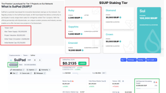 How to analyze a crypto project Blockchains, Exchanges & Launchpad like Suipad?