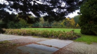 Icy, cold, windy and drizzling, but too calm - My Actifit Report Card: October 9 2023