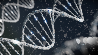 Behavior and upbringing are determined solely by parents' DNA? Not at all!