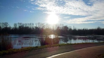 As announced, the day was unpleasant, rainy, not suitable for a walk, so the park was empty - My Actifit Report Card: December 20 2023