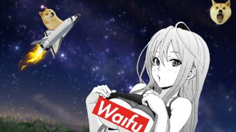 Waifu Token - Doge To The Moon! is the New Waifu 4 U