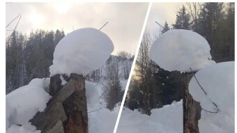 Snow Gate