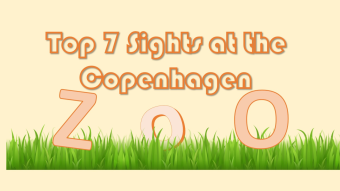 Photoblog: Top 7 Animals at the Copenhagen Zoo - Ranked
