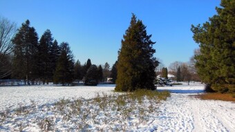 The day started early, winter and extremely frosty - My Actifit Report Card: February 20 2025