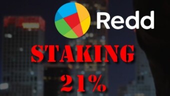 RDD Staking 21% yearly safe and legit