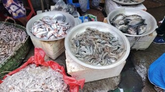 Sebarhat Fish Market.