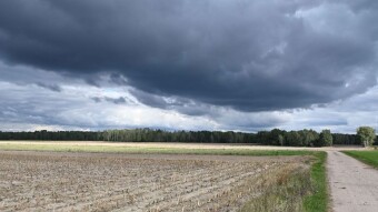 The weather is changing. Autumn is making its presence felt - My Actifit Report Card: September 28, 2025
