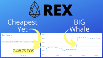 Cheapest EOS REX (CPU) Yet, Big Whale Stakes 15,000,000+ EOS