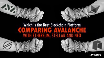 Which is the Best Blockchain Platform Comparing Avalanche with the Famous Ones