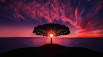 The "vantage point" of Life.
