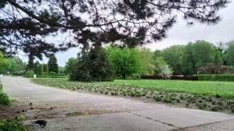 A cold and rainy Friday - My Actifit Report Card: May 8, 2026