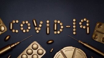 The Almost Apocalypse: Covid-19