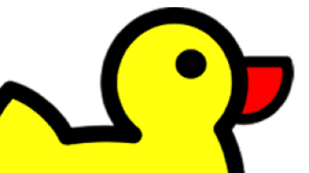 Dynamic DNS with DuckDNS