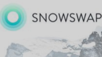 SnowSwap for super Dummy