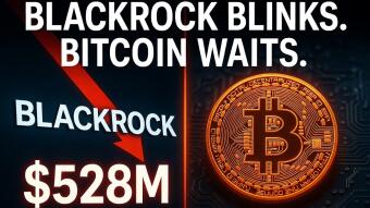 BlackRock Just Pulled $528 Million From Bitcoin in One Day, Here's What They're Not Telling You