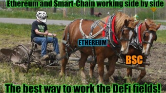 Chad's new horse - Ploughing on Binance Smart Chain