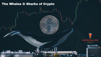 Crypto whales & sharks: why we should care but not be scared