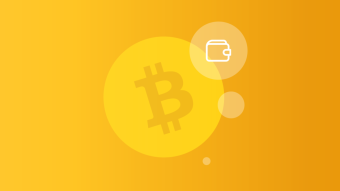 How to choose a Bitcoin wallet? A short guide