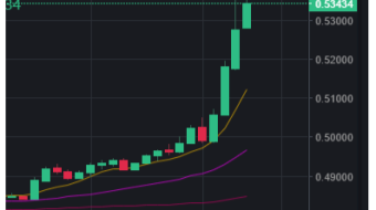 Will XRP really pump ? 01.02.2021