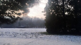 Winter but healthy - My Actifit Report Card: January 6, 2026