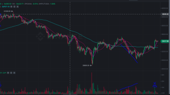 Monday market review + BTC