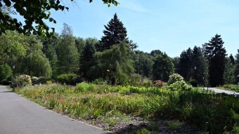Hot and windy Friday, with an almost Mediterranean climate in the evening - Actifit Report Card: August 29, 2025