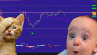 Interesting Moves on LTC, BNB & EOS. (Price analysis)