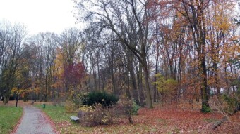 A walk around the Rosarium in the Silesian Park - My Actifit Report Card: November 22 2023