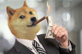 Dogecoin - The Little Coin That Could