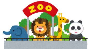 The Zoo's Portfolios - Month 1 / Week 4