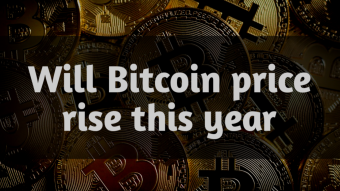 Will Bitcoin price rise this year?