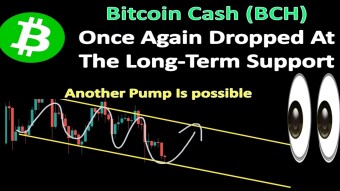 Bitcoin Cash (BCH) Once Again Dropped At The Long-Term Support | Another Pump Is possible