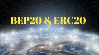 BEP20 and ERC20 Chains.