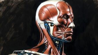 The Birth of a Synthetic Human