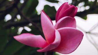 Nature & Life! 🌸