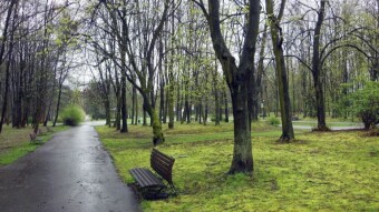 After holiday lazing, it's time for more exercise - My Actifit Report Card: April 2 2024