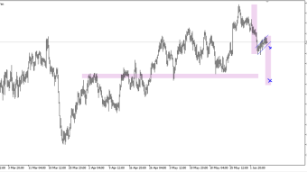 NZDJPY flag