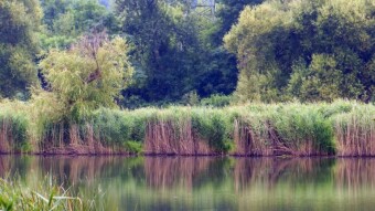 A cool July day, but pleasant for walking - My Actifit Report Card: July 3 2024